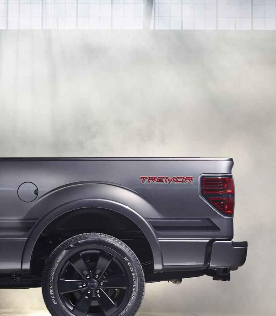  Ford F-150 Tremor 2014 года  (фото 9 из 39)